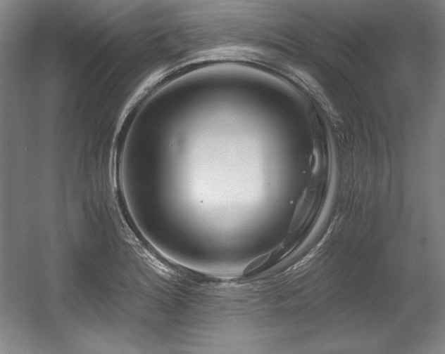 X0000056021180200508191319