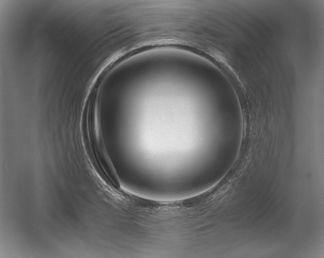 X0000056021181200508191319