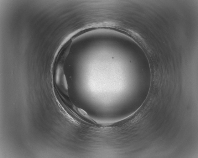 X0000056021184200508191319