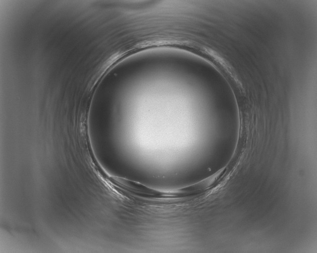 X0000056021185200508191319