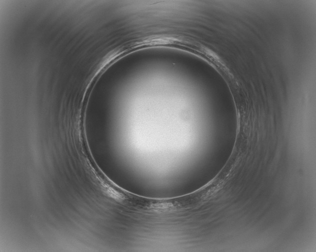X0000056021186200508191319