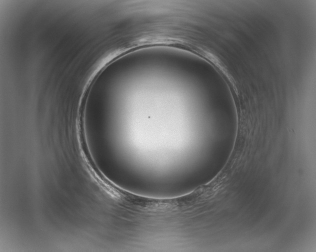 X0000056021187200508191319