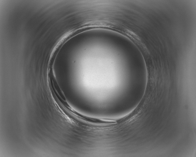 X0000056021188200508191319