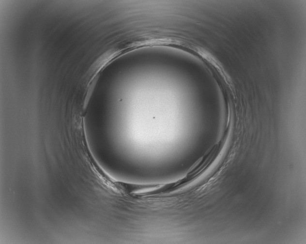 X0000056021193200508191319