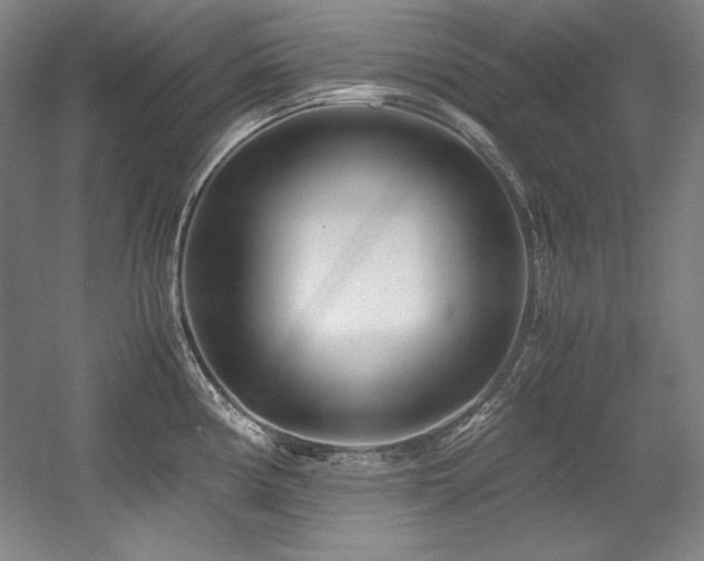 X0000056021194200508191319