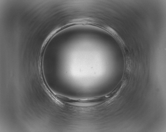 X0000056021196200508191319