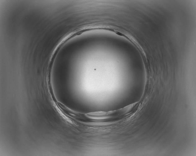 X0000056021197200508191319