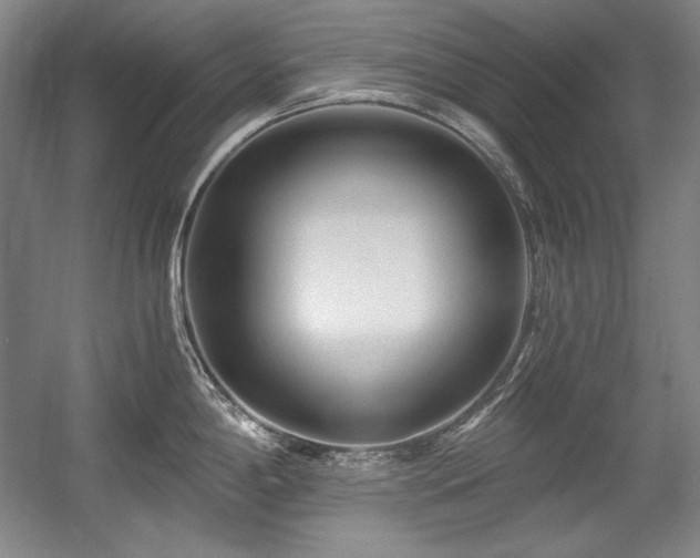 X0000056021198200508191319