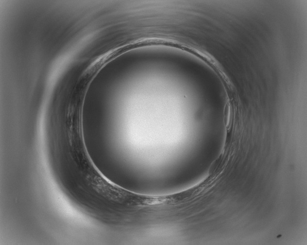 X0000056021199200508191319