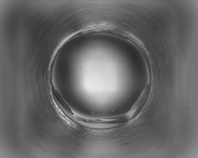X0000056021200200508191319