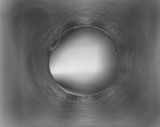 X0000056021201200508191318
