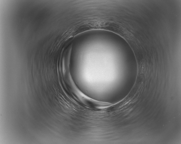 X0000056021202200508191318