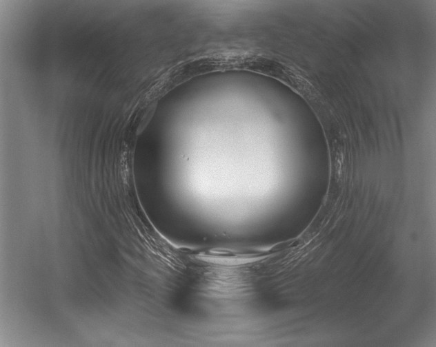 X0000056021204200508191318