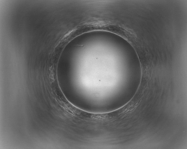 X0000056021205200508191318