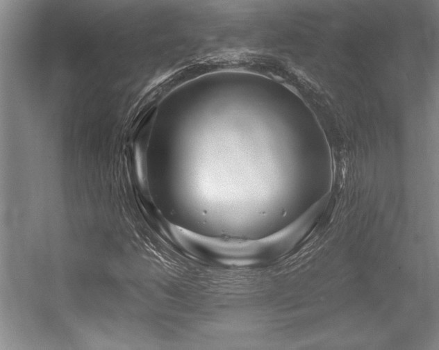 X0000056021206200508191318