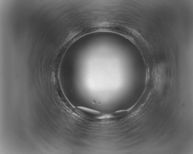 X0000056021209200508191318