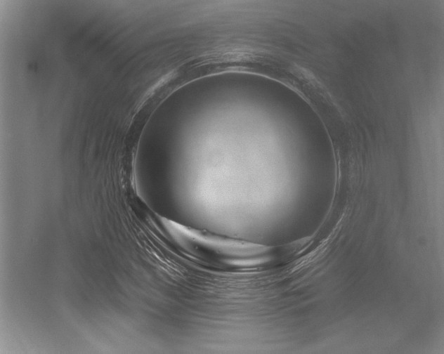 X0000056021210200508191318