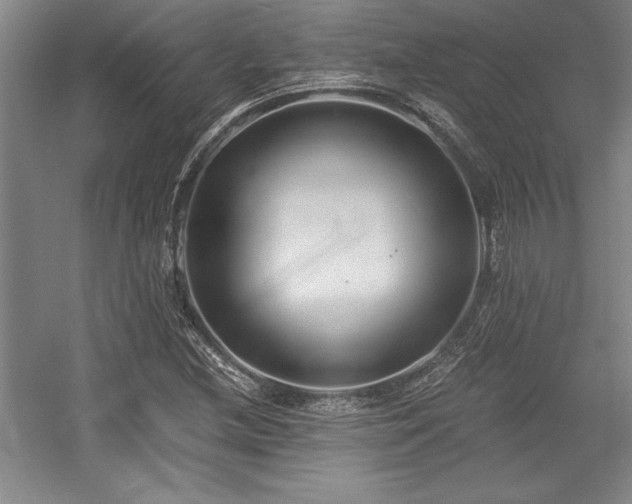 X0000056021212200508191318