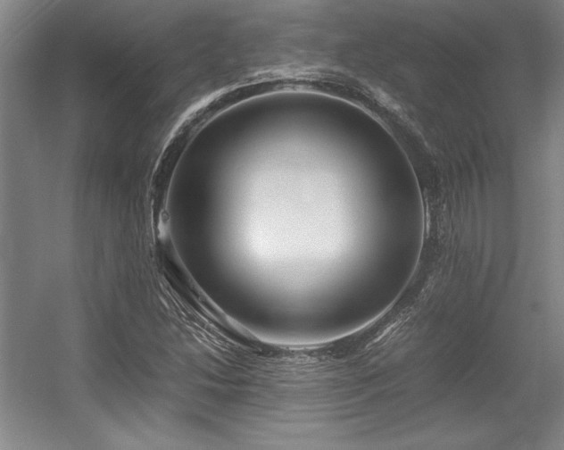 X0000056021214200508191319