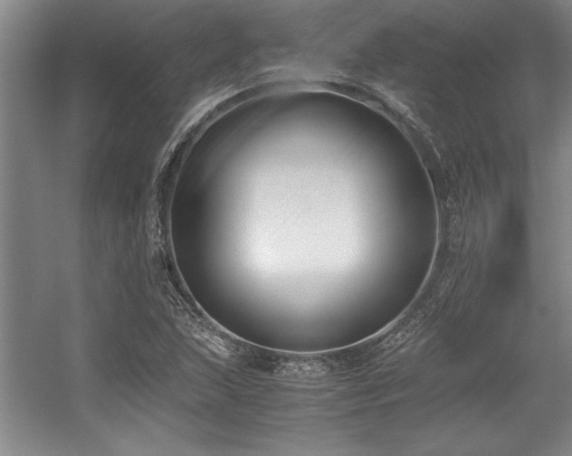 X0000056021215200508191319