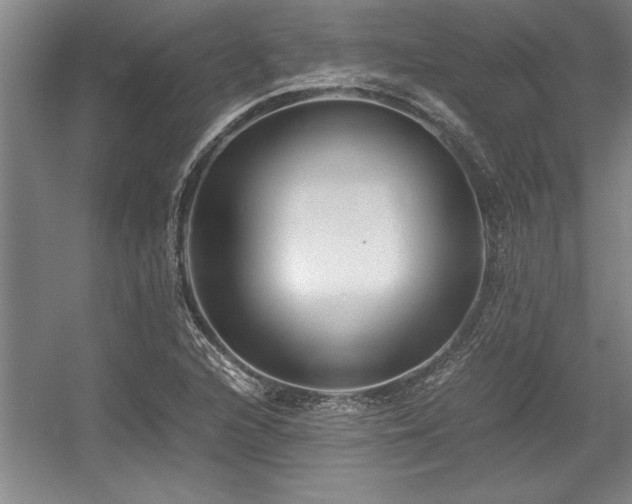 X0000056021216200508191319