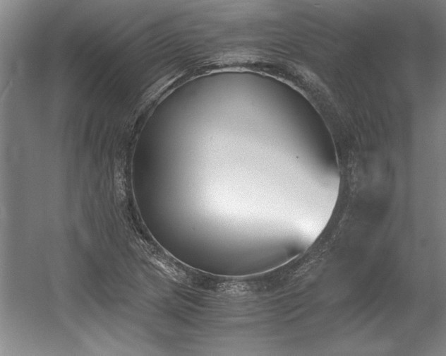 X0000056021217200508191319