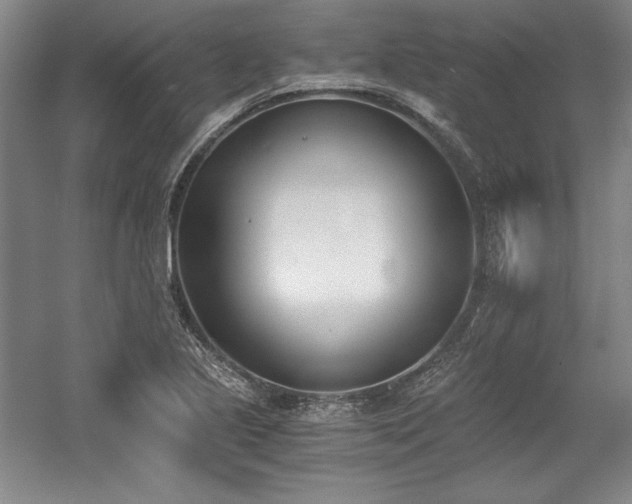 X0000056021221200508191319