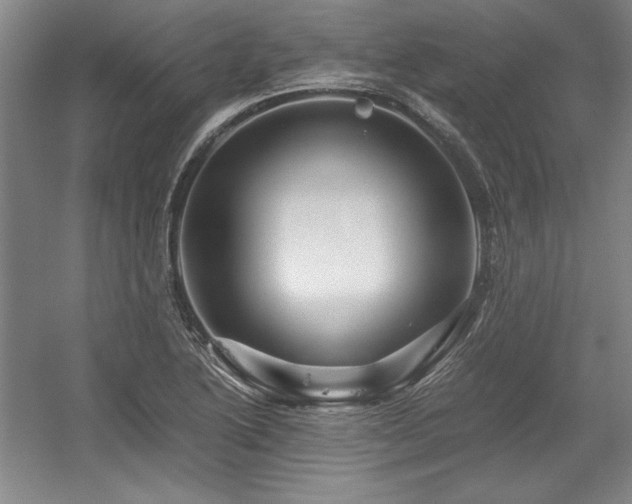 X0000056021222200508191319