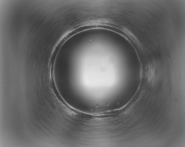 X0000056021224200508191319