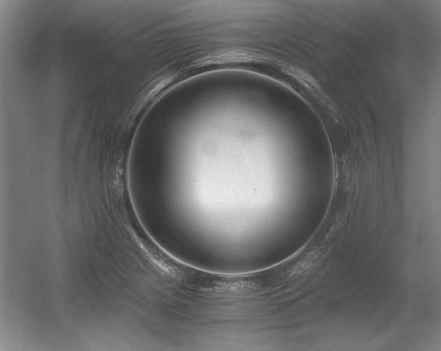 X0000056021225200508191319
