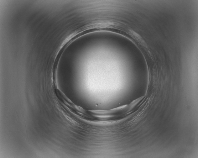 X0000056021226200508191319