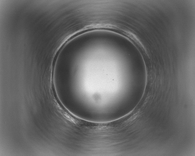 X0000056021228200508191319