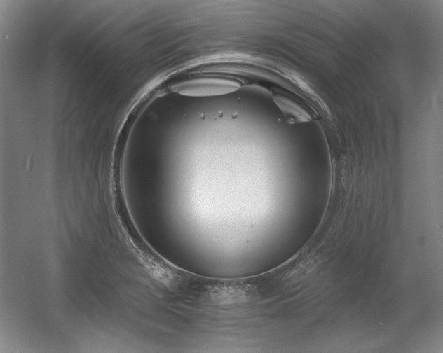 X0000056021229200508191319