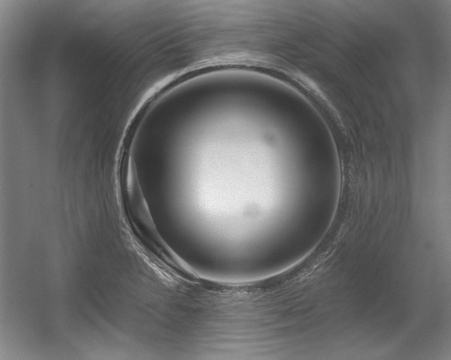 X0000056021230200508191319