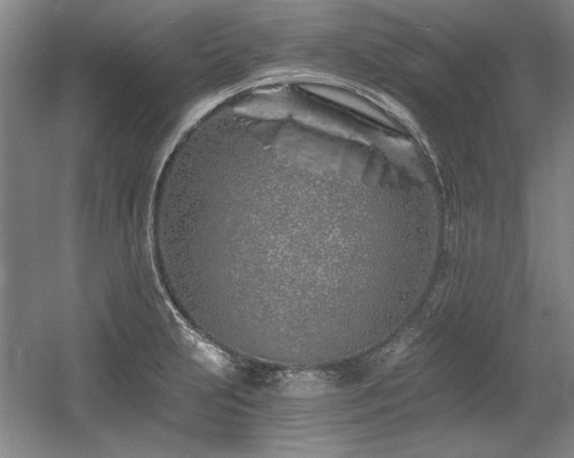 X0000056021231200508191319