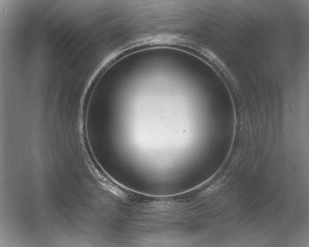 X0000056021232200508191319