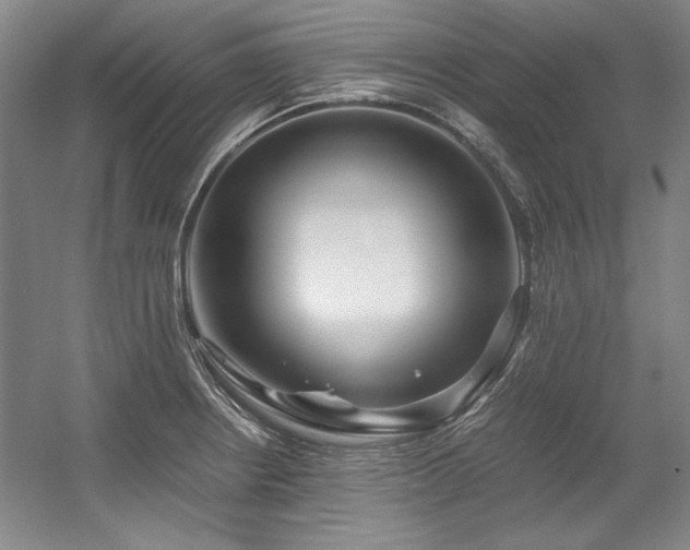 X0000056021234200508191319