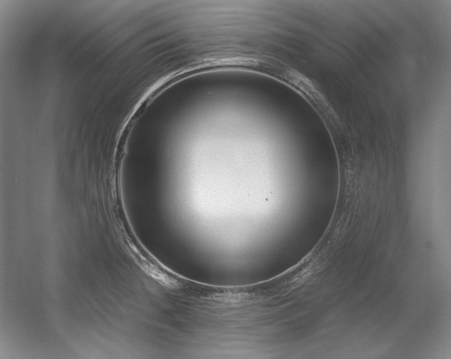 X0000056021236200508191319