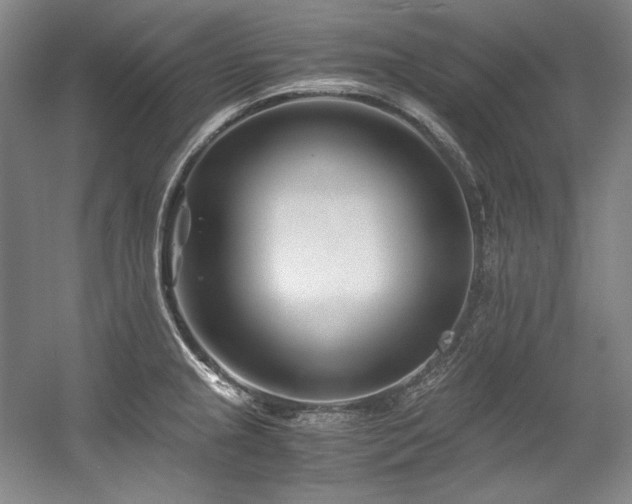 X0000056021237200508191319