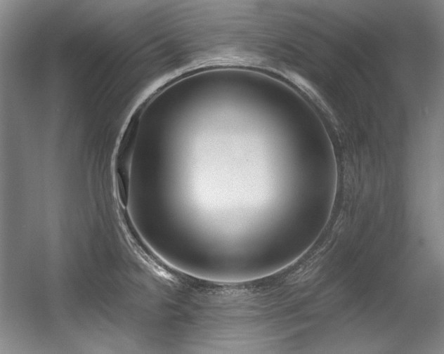 X0000056021238200508191319