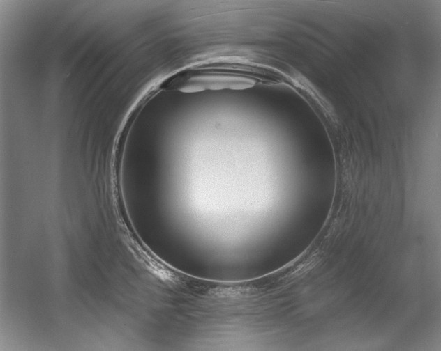 X0000056021240200508191319
