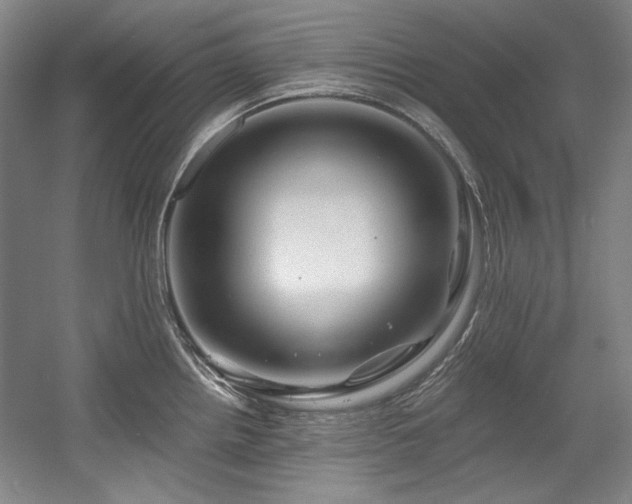 X0000056021242200508191319