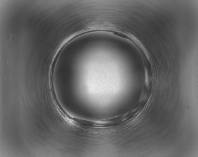 X0000056021246200508191319