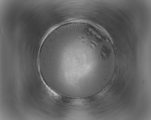 X0000056021247200508191319