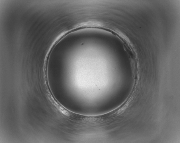 X0000056021248200508191319