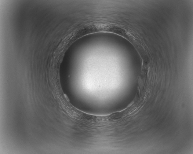 X0000056021249200508191318
