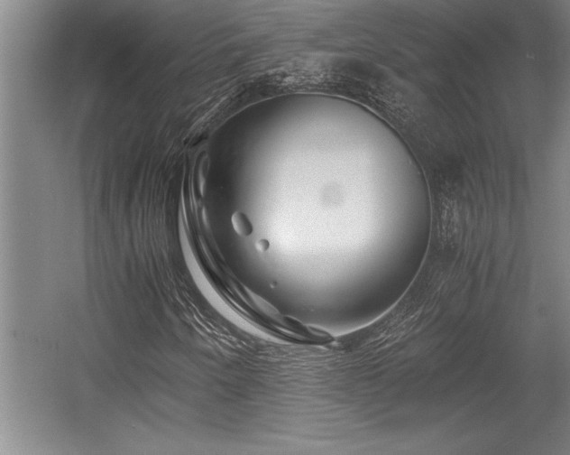 X0000056021250200508191318