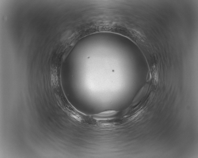 X0000056021252200508191318