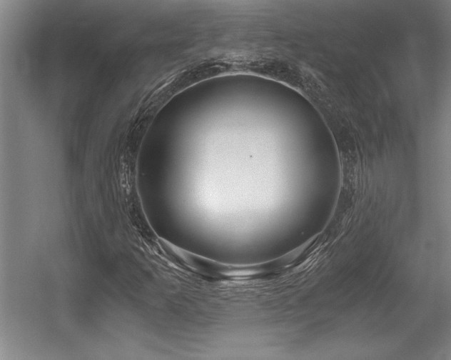 X0000056021253200508191318