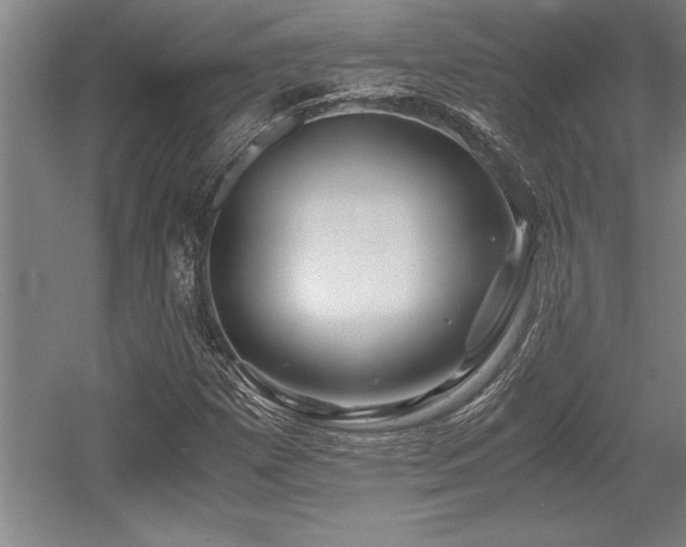 X0000056021257200508191318